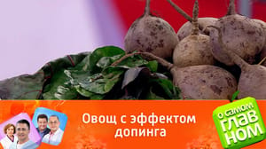 О самом главном Какой продукт зарядит энергией и защитит от рака