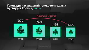Инфографика Россия в цифрах. Сколько вырастили плодов и ягод?