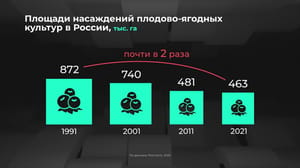 Инфографика Россия в цифрах. Сколько вырастили плодов и ягод?