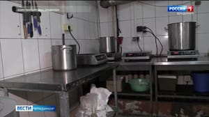 Вести. Владимир - Во Владимире питание для рожениц готовили в подвале дома с многочисленными нарушениями