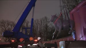 Новости культуры - В Петербурге отправили на реставрацию бронзовых быков с Московского шоссе