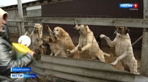 Вести. Кубань - Эфир от 25.01.2023 (21:05)