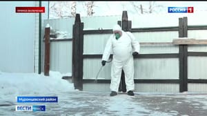 Вести. Омск - Несколько случаев нападения зараженных бешенством лис зафиксированы в Омской области