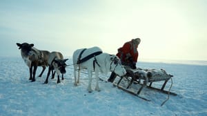 Вести в 20:00 Арктические кочевники отправляются к Карскому морю