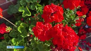 Владимир. Местное время. Суббота Эфир от 01.04.2023