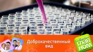 О самом главном Могут ли бородавки перерасти в рак