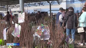 Вести-Курск В Курске ярмарка "Своё родное" объединила фермеров со всего региона
