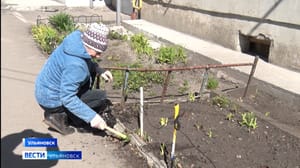 Вести Ульяновск Месячник благоустройства продолжается в Ульяновске