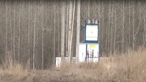 Вести. Регион-Тюмень - Электричество к участкам для многодетных семей в Тюменском районе обещали провести этим летом