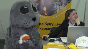 Вести. Иркутск - Всероссийская ярмарка трудоустройства проходит в пяти городах Иркутской области