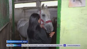 Вести-Кузбасс Эфир от 28.06.2023 (14:30)