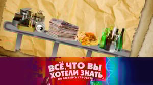 Все, что вы хотели знать, но боялись спросить Куда девается мусор