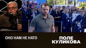 Поле Куликова Публичное унижение Украины. Эфир от 12.07.2023