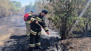 Вести. Волгоград Более 7 часов тушили пожар рядом с детским лагерем в Волгоградской области