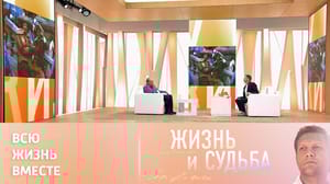 Жизнь и судьба 45 лет исполнится фильму "Д’Артаньян и три мушкетера" и дружбе Смирнитского и Боярского
