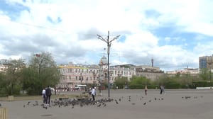 Вести-Чита Эфир от 01.08.2023 (14:30)