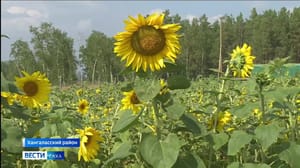 Вести. Саха Эфир от 21.08.2023 (21:05)