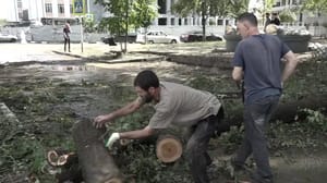 Вести - Чечня приходит в себя после урагана