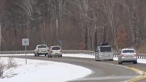 Вести – Амурская область Корова, которая гуляла сама по себе: ДТП с участием животных участились в Приамурье