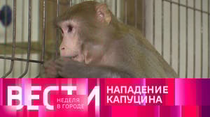 Неделя в городе Эфир от 26.11.2023