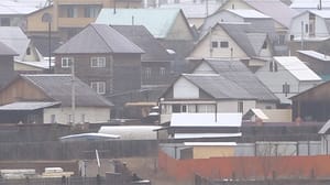 Россия 24. Чита Глава СК затребовал доклад о нападении собаки на ребенка в Забайкалье