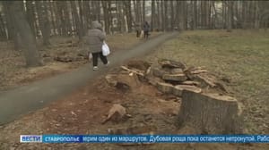 Вести. Ставропольский край Эфир от 22.12..2023 (14:30)