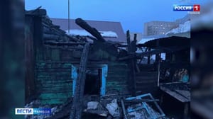 ВестиТамбов При пожаре дома в Мичуринске погиб отец и сын