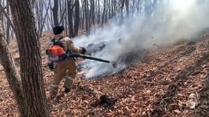 Погода 24 - В Приморье растет площадь природных пожаров