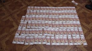 Новости Задержание группы серых финансистов во главе с пенсионеркой сняли на видео