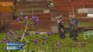 Вести-Кузбасс Эфир от 17.05.2024 (21:15)