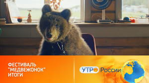 Утро России Фестиваль "Медвежонок" назвал имена победителей