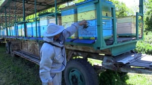 Вести Ульяновск - Всё больше ульяновцев заключают соцконтракты на открытие или развитие свое собственного дела