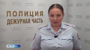 Вести-Курск В Железногорске мужчина украл деньги из автомодиля с открытым окном