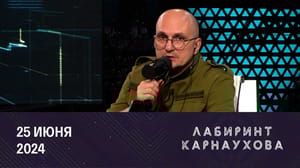Лабиринт Карнаухова О чем узнал мир благодаря WikiLeaks Джулиана Ассанжа. Эфир от 25.06.2024