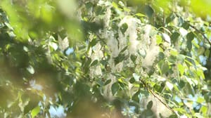Вести. Иркутск Эфир от 27.06.2024 (05:35)
