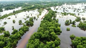 Новости Роспотребнадзор проверяет качество воды в районах, охваченных разливом рек