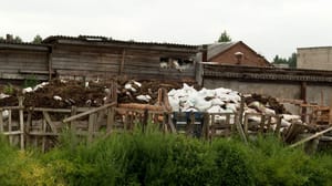 Вести Поморья Фермерское хозяйство недалеко от Архангельска "отравляет" жизнь местных, под угрозой и экология