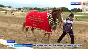 Вести. Кабардино-Балкария На ипподроме в Нальчике разыграли Дерби КБР