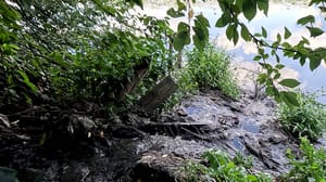 Вести. Санкт-Петербург Жители одного из районов Выборга задыхаются от нечистот