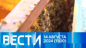 Вести Эфир от 14.08.2024 (11:00)