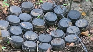 Новости В Харьковской области уничтожен схрон ВСУ с противопехотными минами