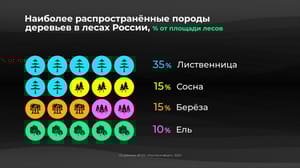 Инфографика Россия в цифрах. В каких регионах больше всего лесов?