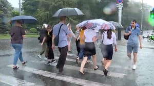 ロシア朝。 Kuban - Ether から 30.08.2024 (05:35)