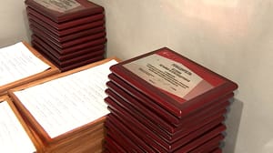Вести. Волгоград Руководители добровольческих отрядов рассказали о достижениях патриотического воспитания