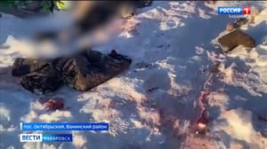 Вести. Хабаровск Собаки, напавшие на пенсионерку в Ванинском районе, не были бездомными