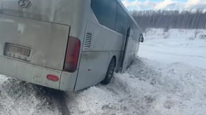 Новости В Новосибирской области пассажирский автобус вылетел в кювет, никто не пострадал