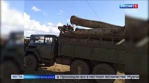 Caardino-Balkaria - In Lesken district, a local resident was detained for illegally cutting trees