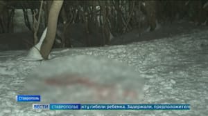 Drive. Territorio de Stavropol Ether 24.02.2025 (09:30)
