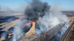 Démarre. Primorye Le feu est revenu près des colonies de Primorye