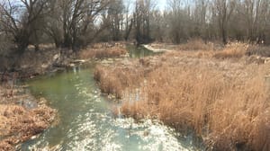 قُد Volgograd - Environmentalists are preparing to clear the unique lake Kochkarnoy in the Volgograd region